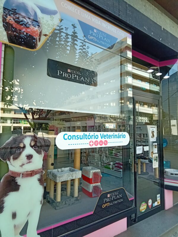 Consultório Veterinário PetOutlet Boavista